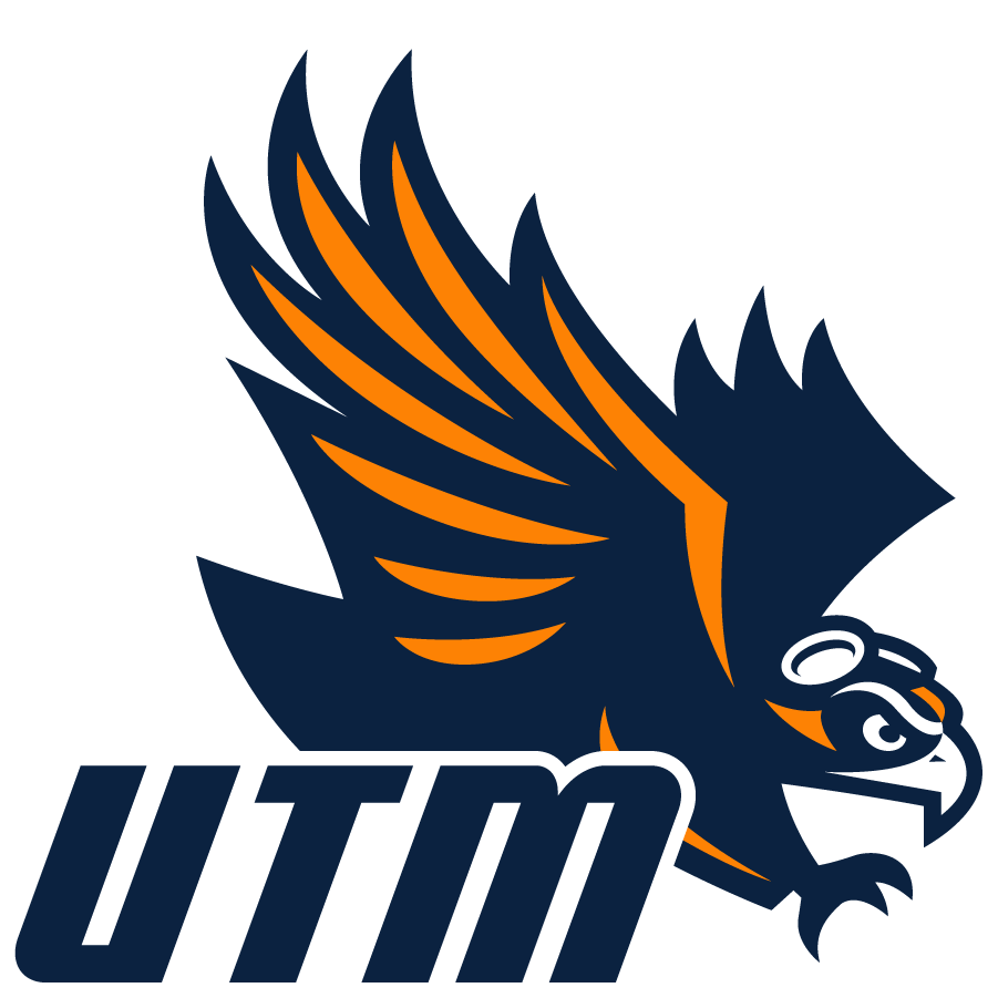 Tennessee-Martin Skyhawks 2020-Pres Secondary Logo v2 iron on transfers for clothing